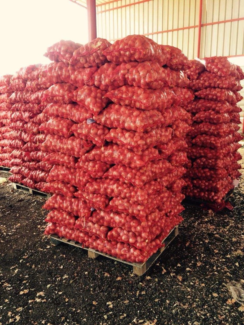 Cabbage, Beetroot, Arch from Belarus, from 20t, excellent quality, also in the case of onions, carrots, beets, cabbage, potatoes, all additional information on