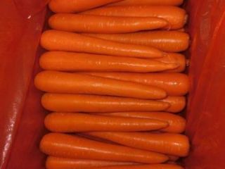 Carrots Variety: Carrots Type: Common Certification 9001 Color: yellow,