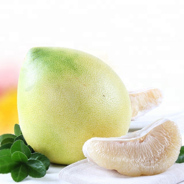 We are pomelo direct producer, we have two pomelo planting bases, covering an area of 800 acres in total