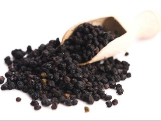 The dark blue-purple berries of the elder tree, also