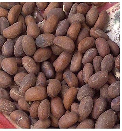 bitter kola garcinia kola kolanut bitter kola nut One of these items is shipped earlier than the other