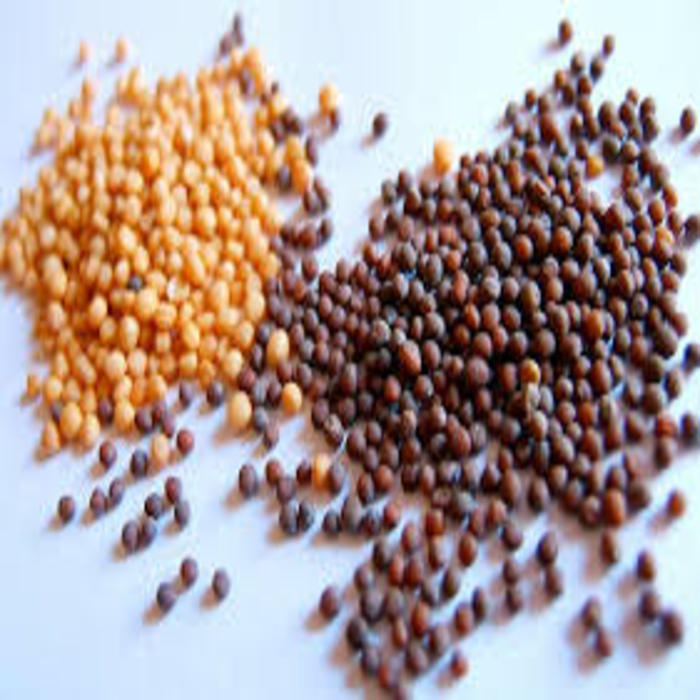 Best Selling White / Black / Yellow mustard seed cheap price Quick Details Product Type: Single Herbs & Spices Style: Dried Drying Process: AD Processing Type: