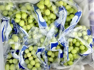 Fresh grapes without seeds for sale.Contact us via or