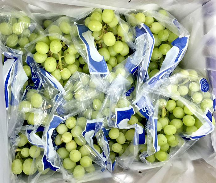 Fresh grapes without seeds for sale.Contact us via or via email : for more information