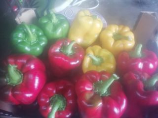 Hello, I will sell red, yellow and green peppers,