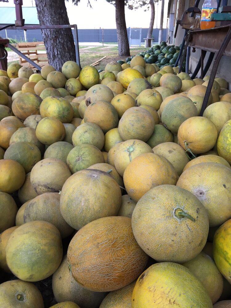 We have for sale yellow melons imported by Romania