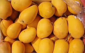 Świeże egipskie mango jest jednym z najbardziej bogatych w składniki odżywcze owoców o charakterystycznym smaku, zapachu i smaku, dlatego egipskie mango jest