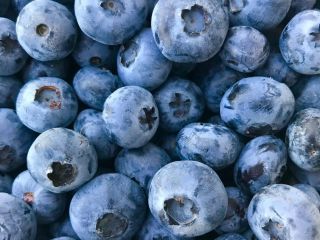 I will sell blueberry about 1 tonne. Packed 3