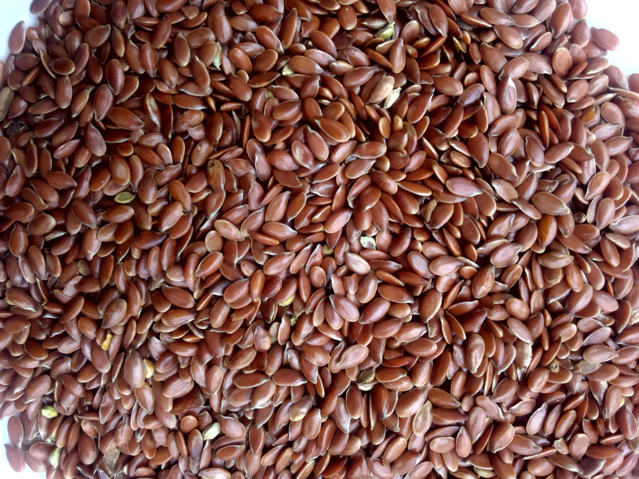 We sell flax oil brown, humidity 8%, weed 3%