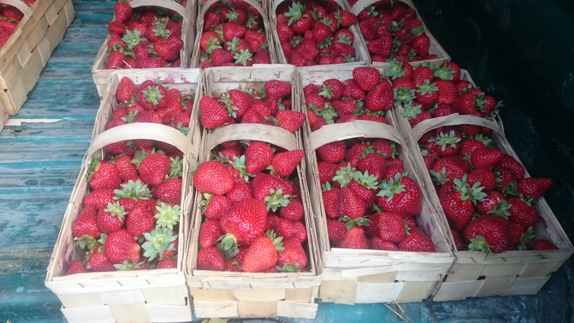 I will sell a strawberry POLAND (photos)
