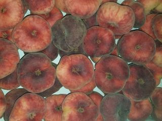 I will sell paraguayo peach, imported, fresh, pretty, juicy.