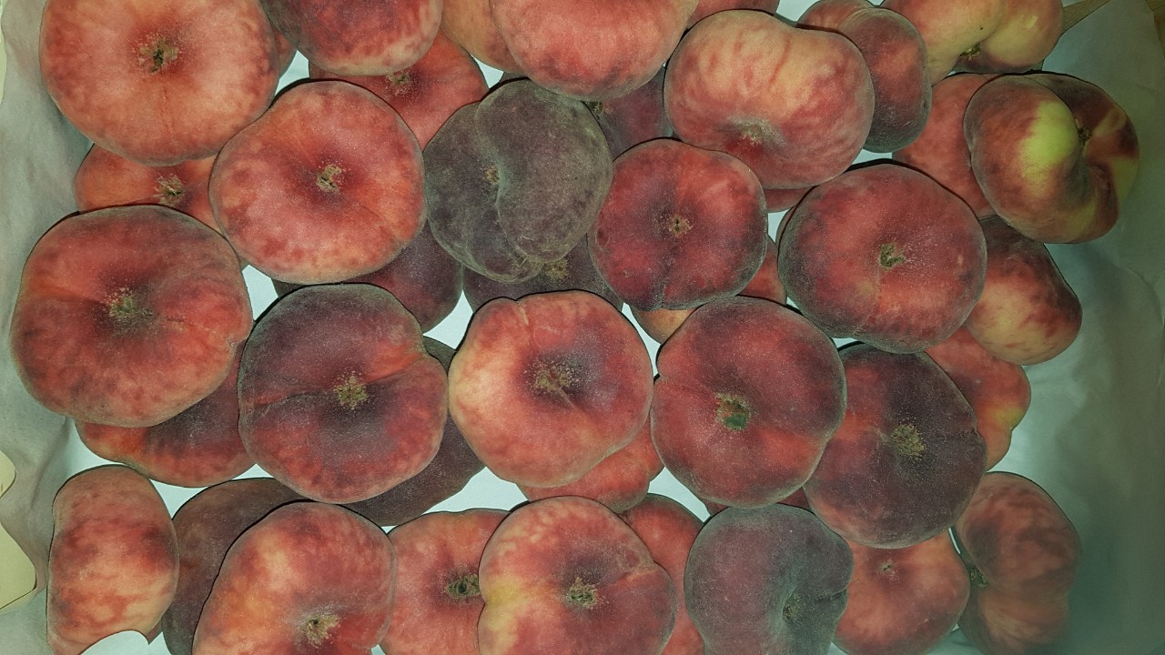 I will sell paraguayo peach, imported, fresh, pretty, juicy