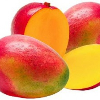 contact for fresh offers and good price rates direct products from farms