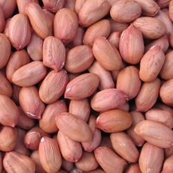contact for fresh offers and good price rates direct products from farms