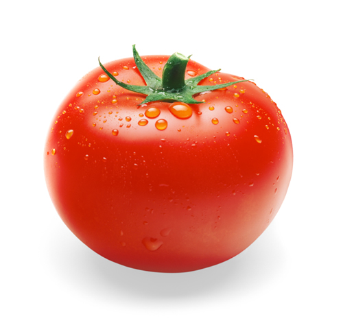 contact for fresh offers and good price rates direct products from farms