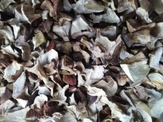 I will sell dried porcini mushrooms. Price per kg