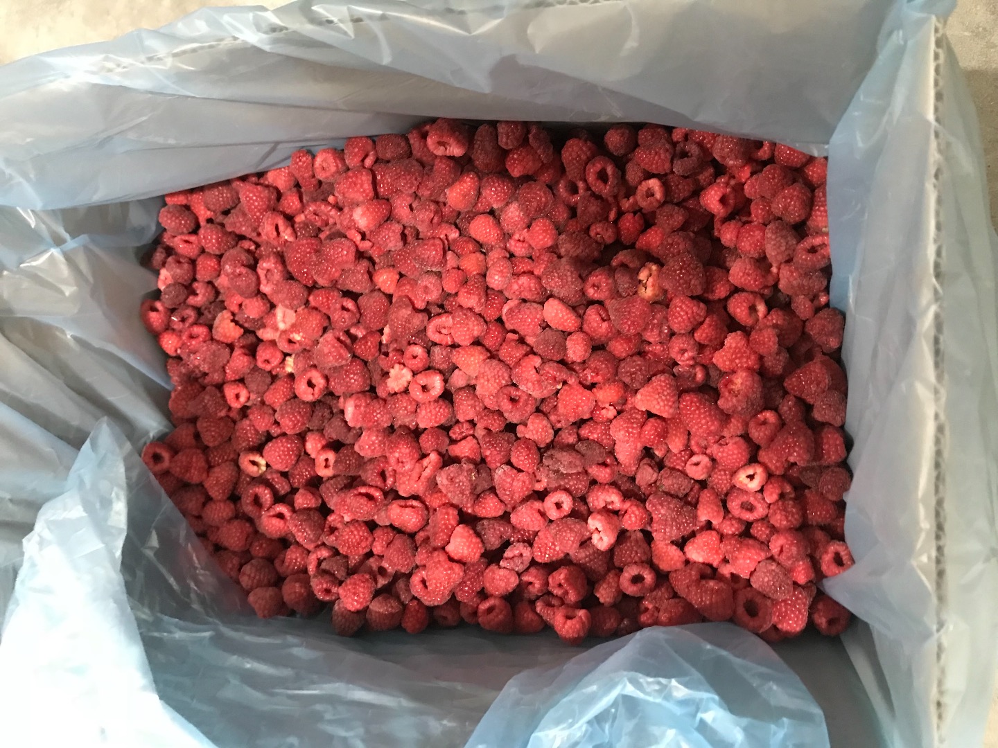 I will sell frozen raspberry, quantity with delivery, packaging 10kg 80/20 carton or grus in bags of 25 kg