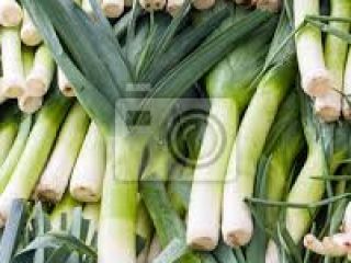 I will sell large quantities of leek, about 4