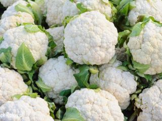 I will sell cauliflower. Beautiful white large quantities. The