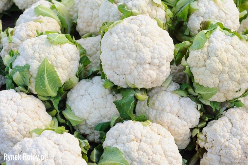 I will sell cauliflower