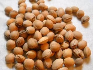 I am looking for cleaned cherry seeds for hot