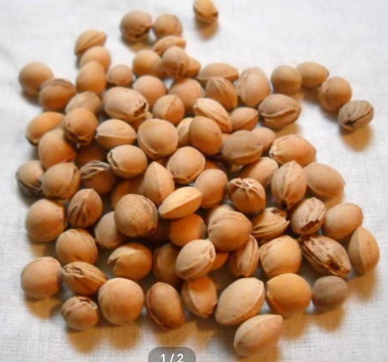 I am looking for cleaned cherry seeds for hot water bottles