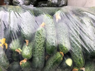 Legabel fruct 2016 srl sells cucumber cucumbers 7-12 cm