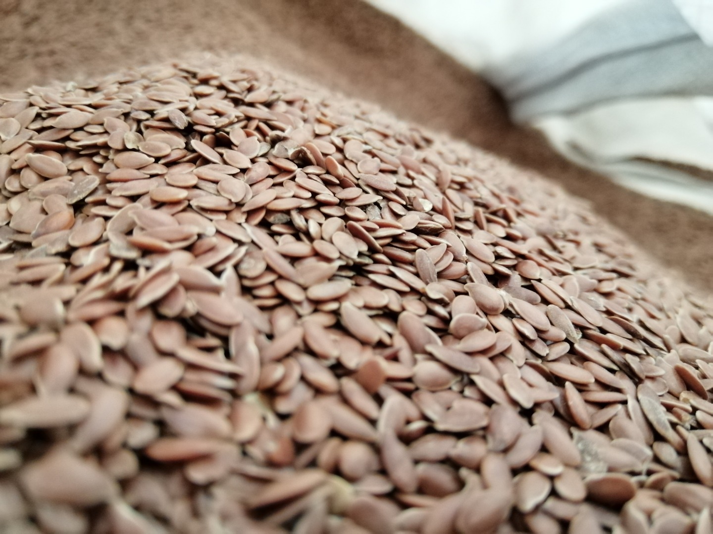 I will sell linseed