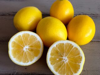 Buy fresh lemon all varieties from Egypt at a