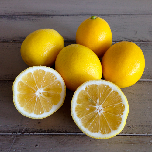 Buy fresh lemon all varieties from Egypt at a low price from us