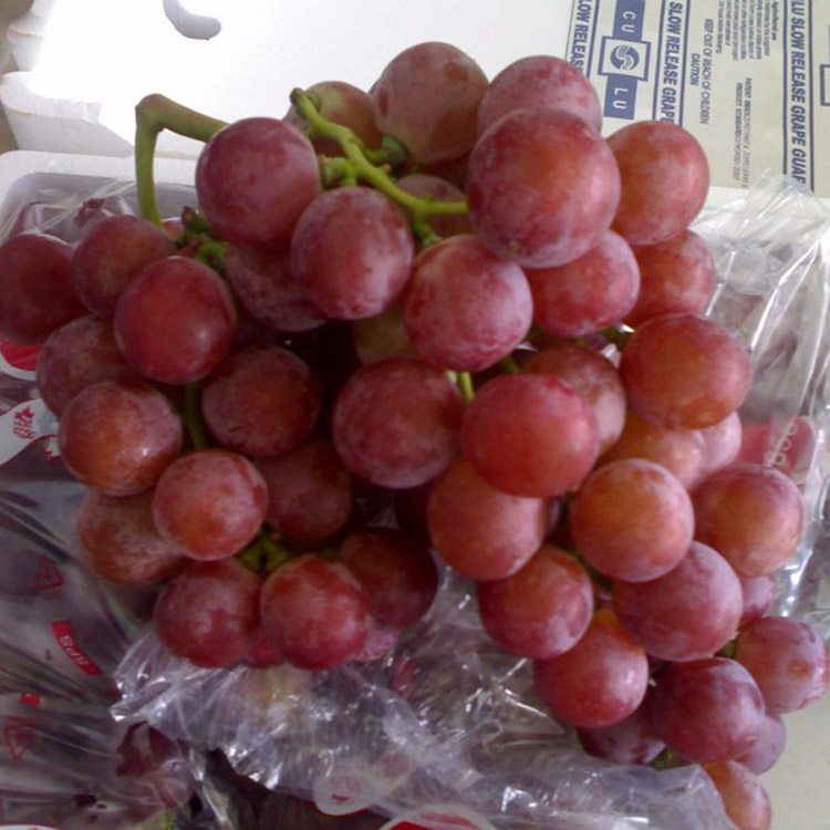 Buy fresh seedless grapes of all varieties from Italy at a low price from us
