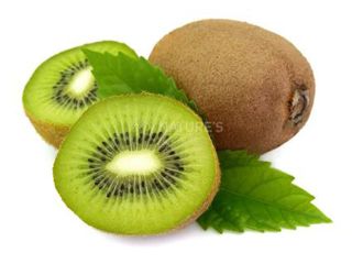 Buy fresh kiwi fruit from Greece at a low