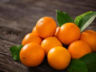 Buy fresh oranges from Egypt at a low price