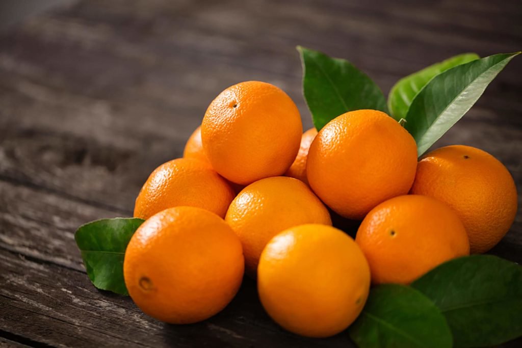 Buy fresh oranges from Egypt at a low price from us