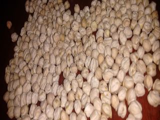 Buy processed chickpeas all varieties at a low price