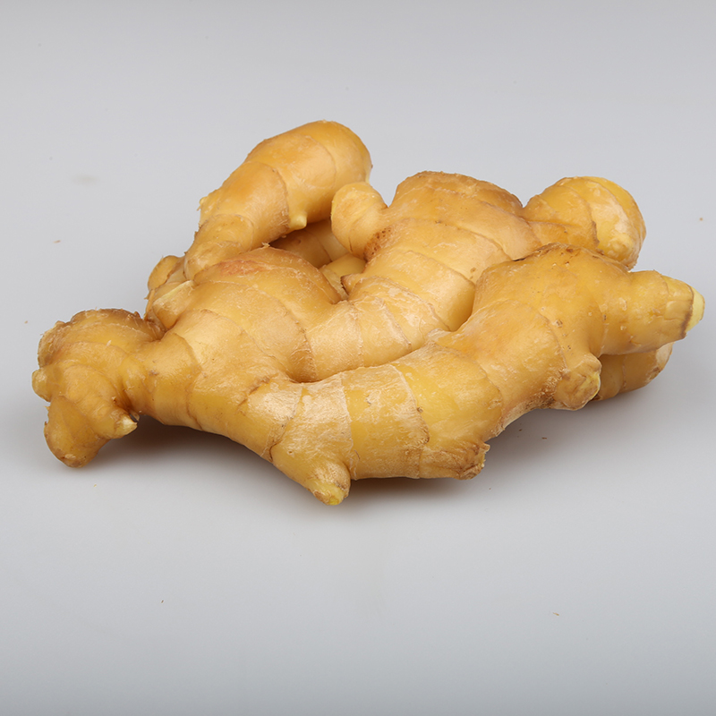 Buy old ripe ginger varieties at a low price from us