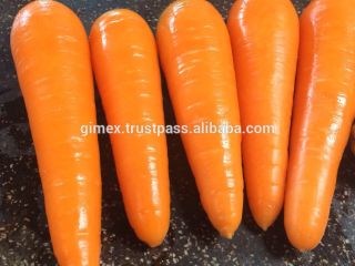 Buy fresh carrots of all varieties from us at