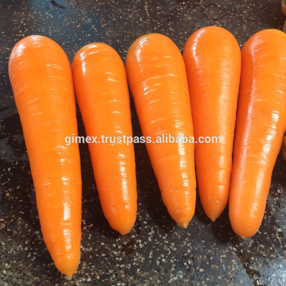 Buy fresh carrots of all varieties from us at a low price