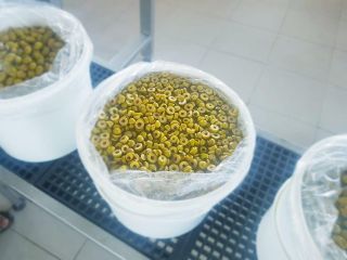 Hello, I have for sale various types of olives