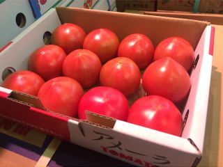 Buy fresh Tom Farm varieties from us at a