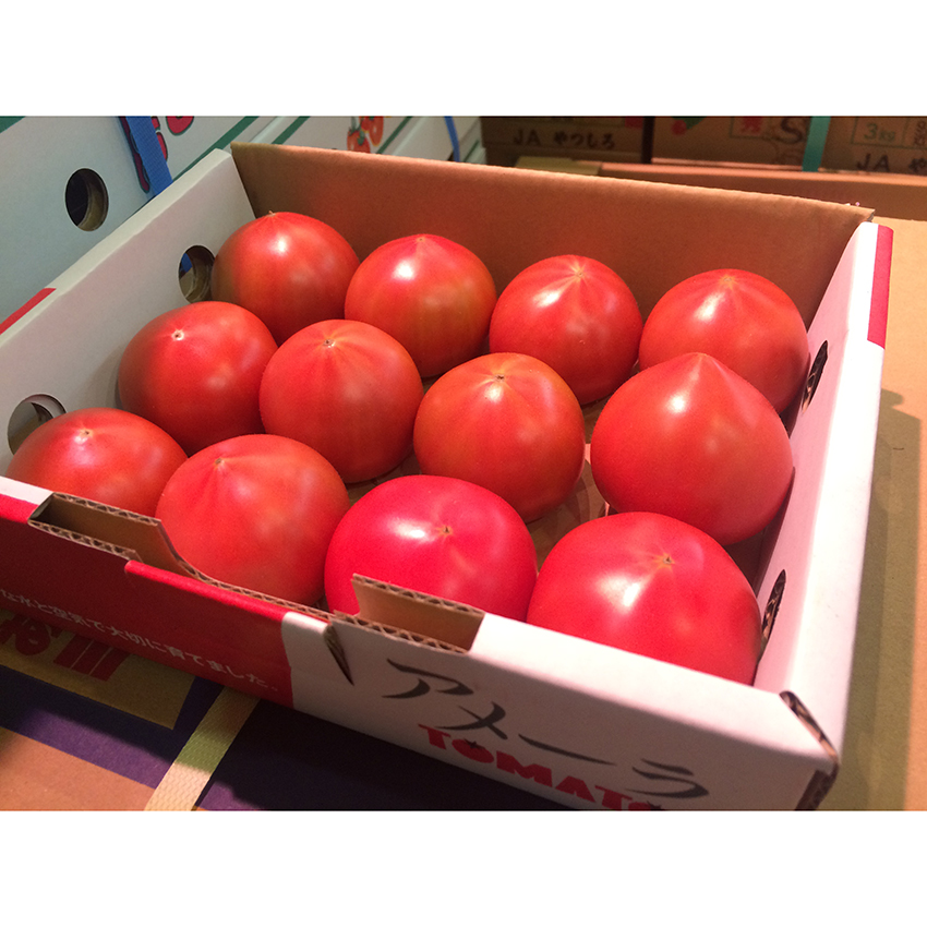 Buy fresh Tom Farm varieties from us at a low price