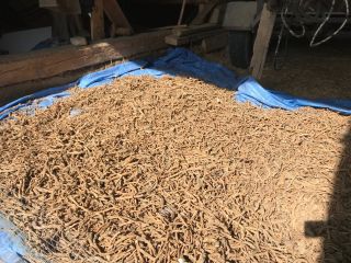 Hello, I have for sale 700 kg of dry