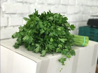 We accept contract orders for herbs (dill, parsley, coriander,