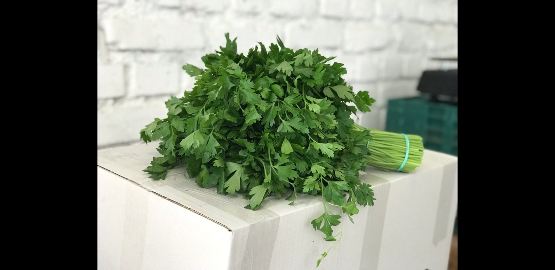 We accept contract orders for herbs (dill, parsley, coriander, mint) cut in bunches of 0.500-0.150 kg
