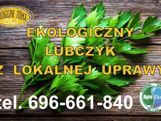 Organic, certified lovage cultivation. Possibility to send e-mail.
