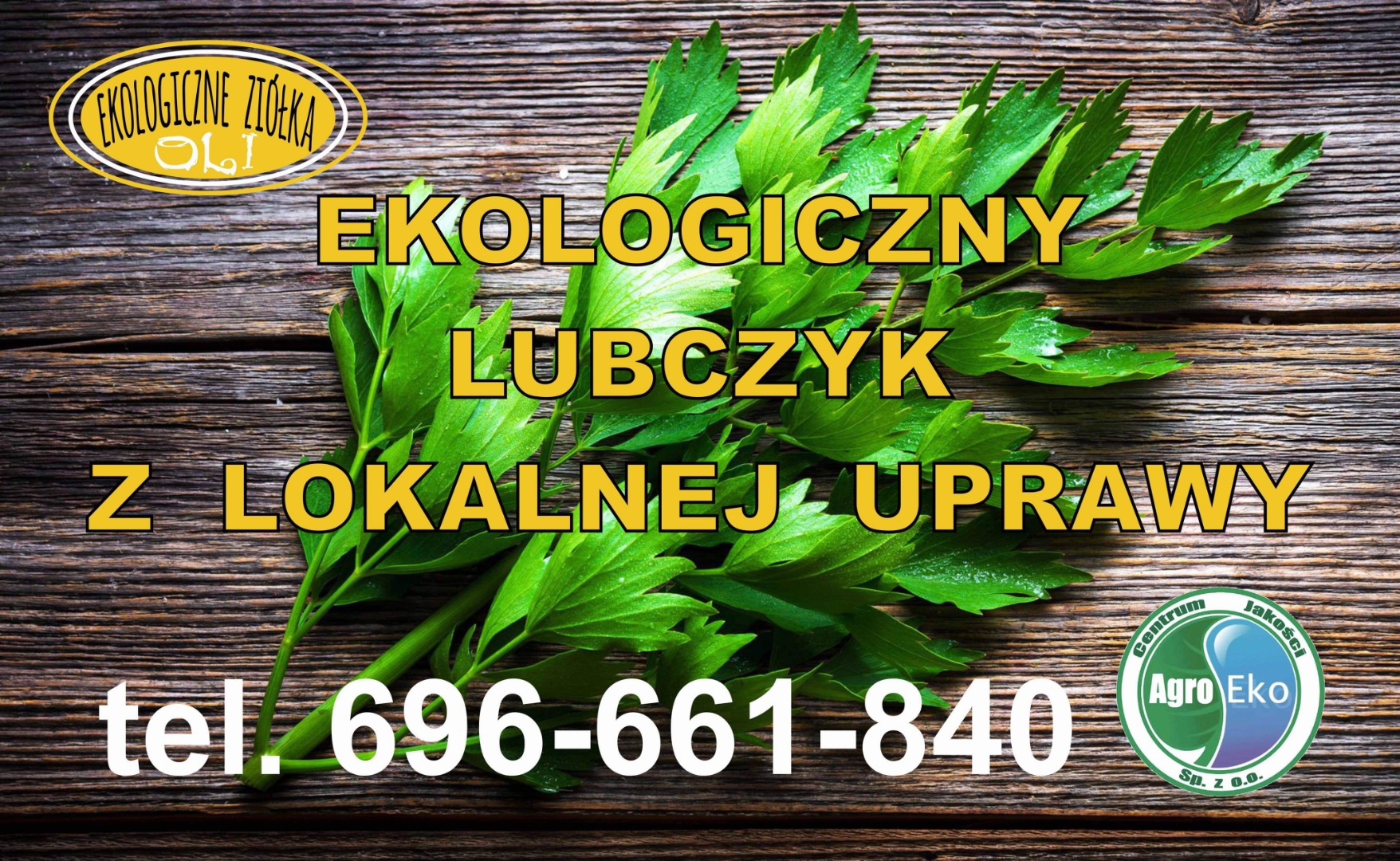 Organic, certified lovage cultivation