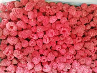 We offer frozen products! Available frozen berries - raspberries,