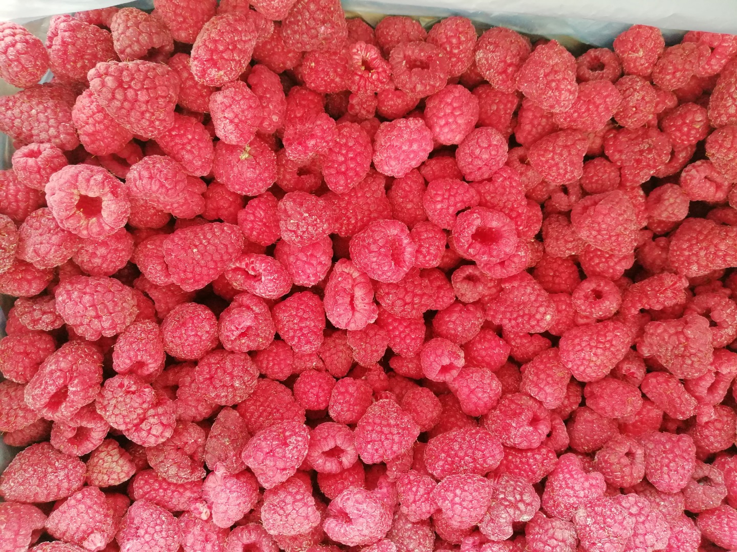 We offer frozen products! Available frozen berries - raspberries, blackberries, strawberries, etc