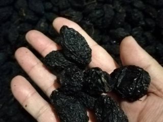 Prunes with pitted and pitted Serbia We offer you