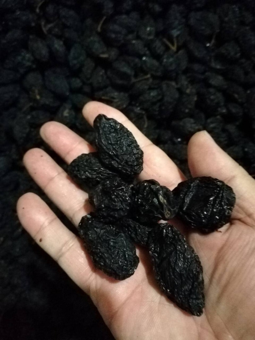 Prunes with pitted and pitted Serbia We offer you for sale prunes with pitted and pitted